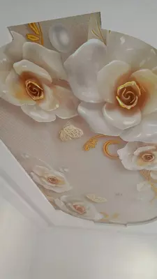 Натяжной потолок с фотопечатью. Модель N88 - Цена по запросу