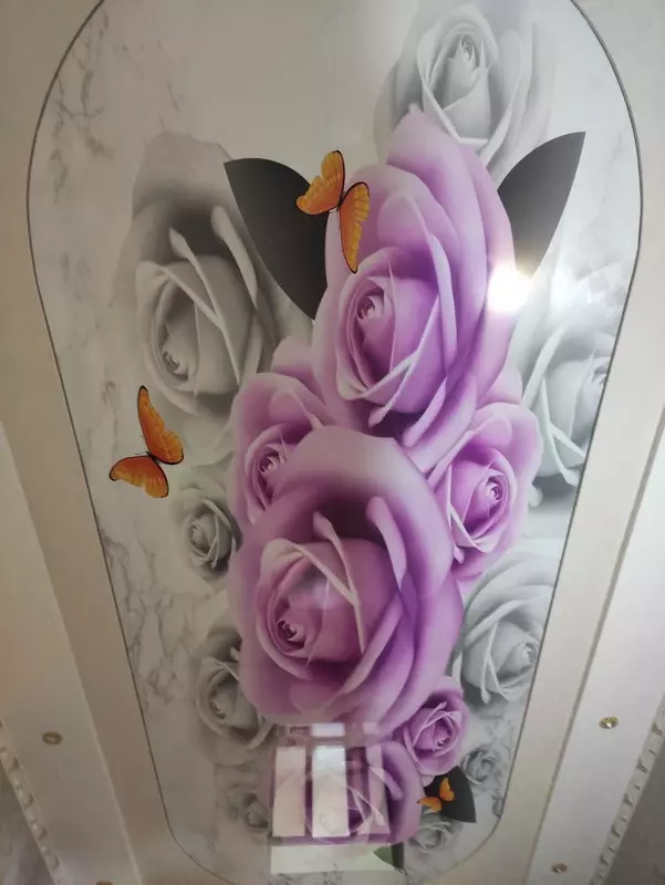 Натяжной потолок с 3D фотопечатью. Модель N101