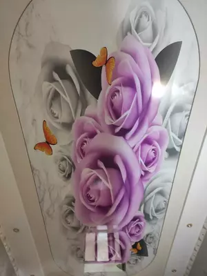 3D fotosuratlarni chop etish bilan cho'zilgan ship. Model N101