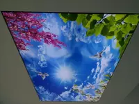 Натяжной потолок с фотопечатью. Модель N102 - по запросу