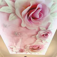 Натяжной потолок с фотопечатью. Модель N111 - по запросу