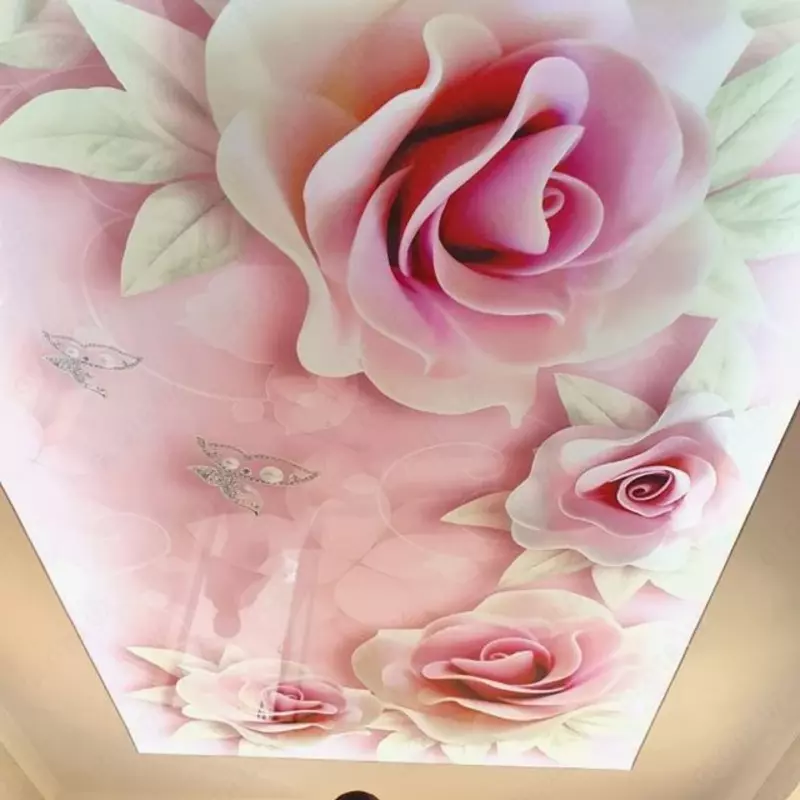 Натяжной потолок с фотопечатью. Модель N111 - по запросу