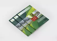 Журналы и каталоги - Clever Pack