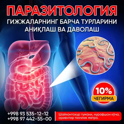 Паразитология - Цена по запросу