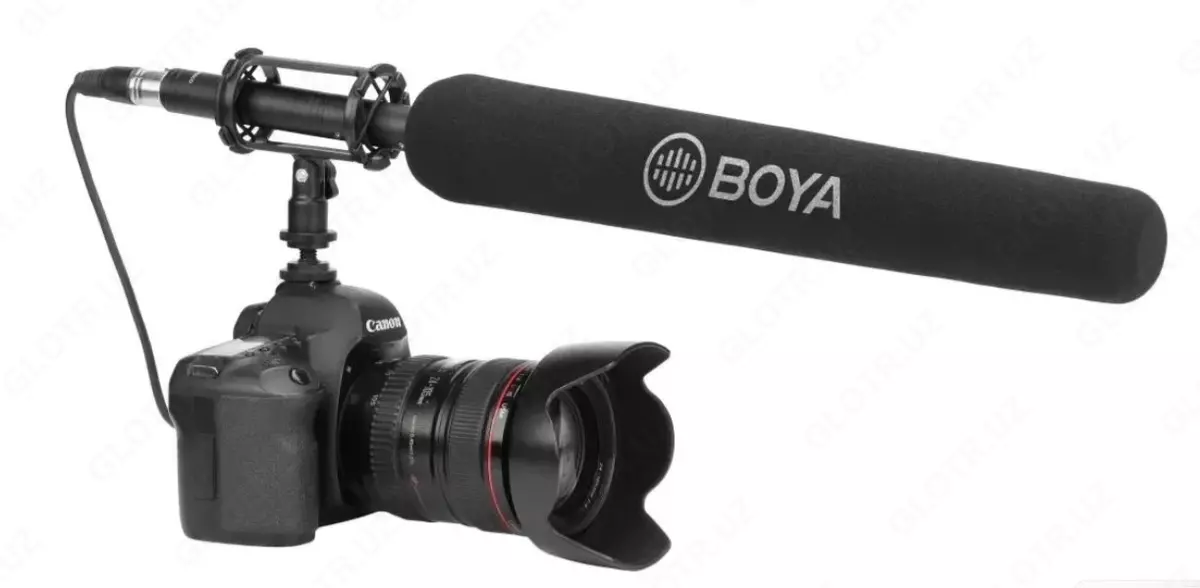 2025-02-13-14-28-46-265823-8d0a5016f5acd5cf657745cc6c05a82e.webp?_=ozbol