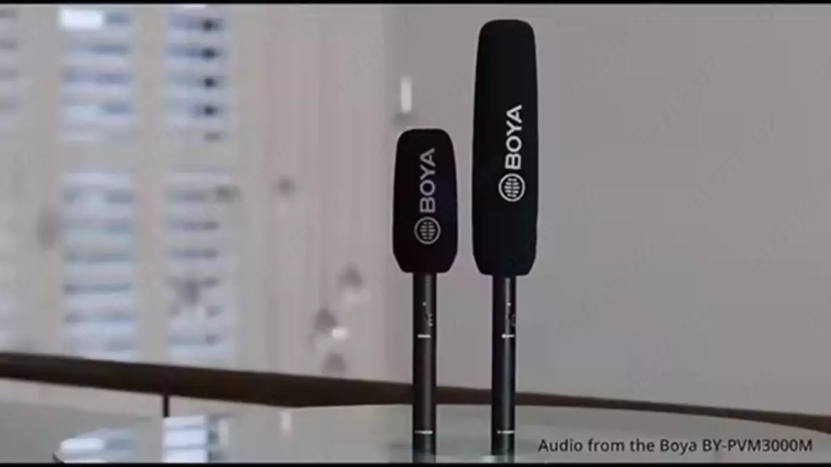 2025-02-13-14-38-22-038261-806ce8e959633f43b4d6f1d69d50efc0.webp?_=ozbol