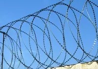 Егоза - от {0} сум