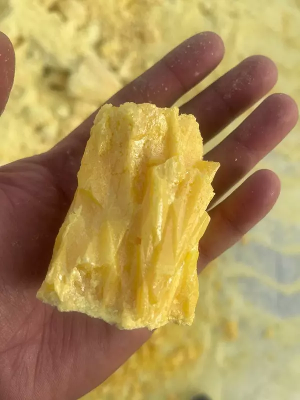 Bir qiz somonxonada sikilgan