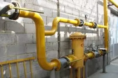 редуктор - 1 350 000 сум от 1300000 шт.