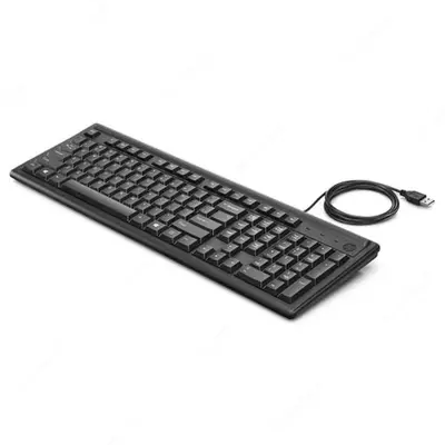 Simli klaviatura HP 100 RUSS (2UN30AA) Qora