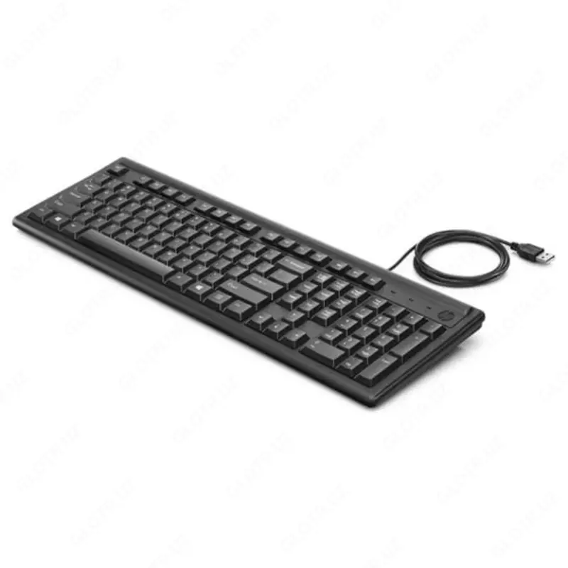 Simli klaviatura HP 100 RUSS (2UN30AA) Qora
