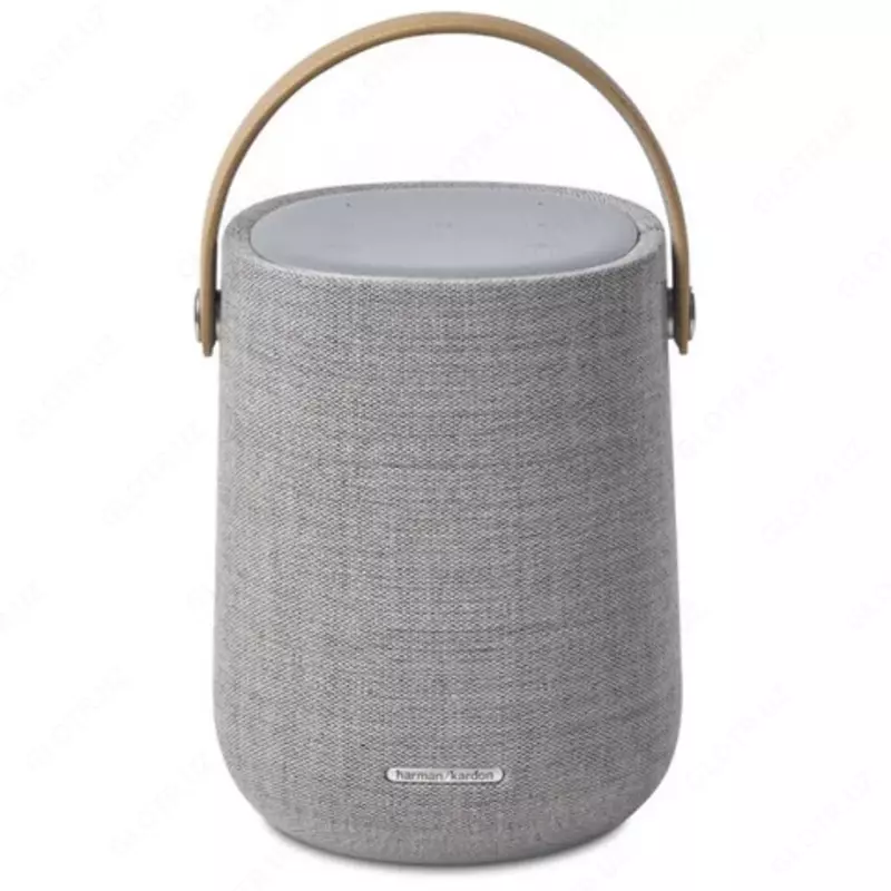 Беспроводная колонка Harman Kardon Citation 200  цвет - серый   p/n: HKCITATION200GRYUK