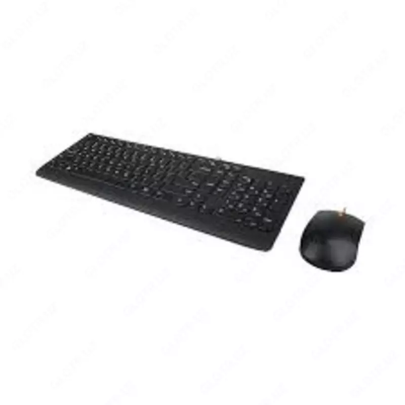Lenovo 300 USB Combo Keyboard & Mouse - Russian/Cyrillic (441)