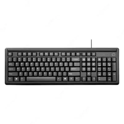 Проводная клавиатура HP Keyboard 100 RUSS (2UN30AA)