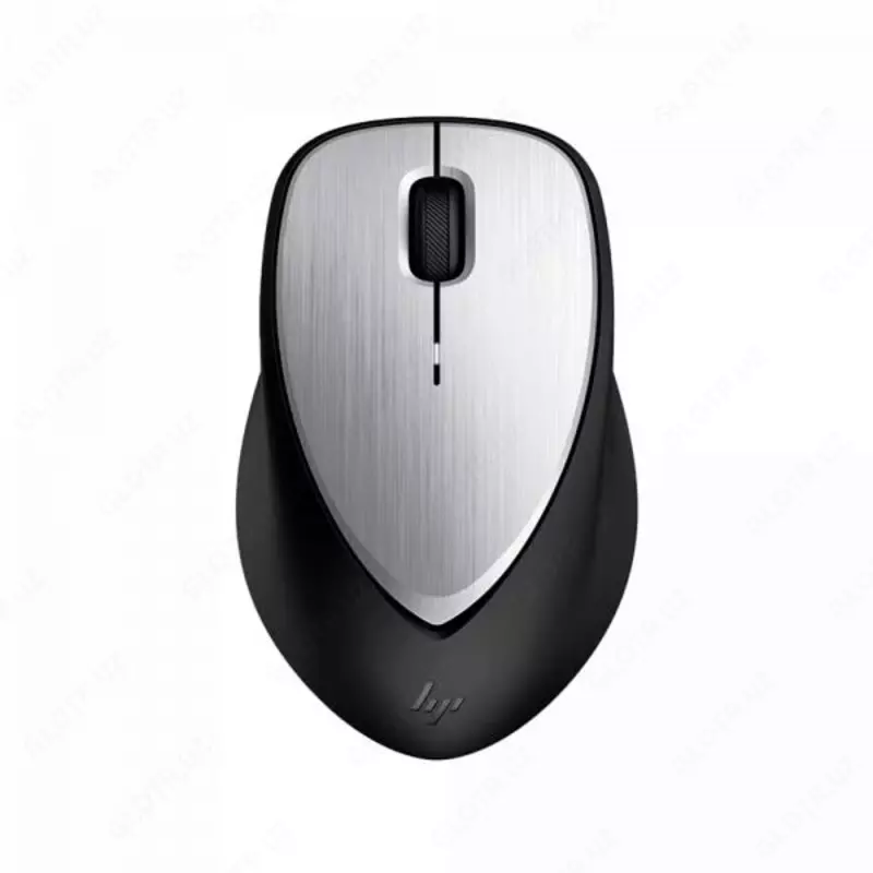 Мышь HP Envy Rechargeable Mouse 500 2LX92AA Black-Silver USB