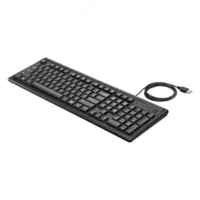 Клавиатура HP Pavilion Wired Keyboard 300 RUSS