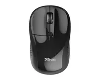 Sichqoncha Trust Primo WL