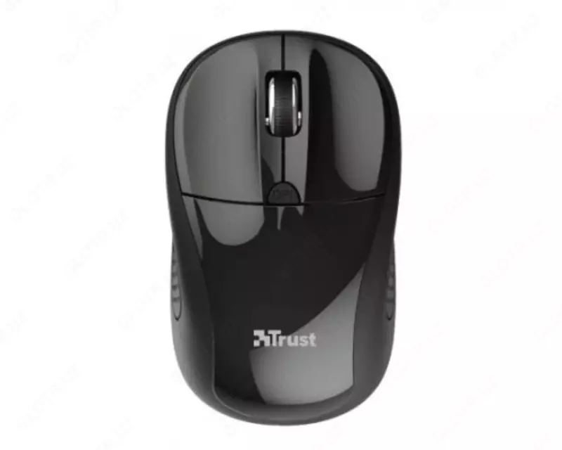 Sichqoncha Trust Primo WL - по запросу