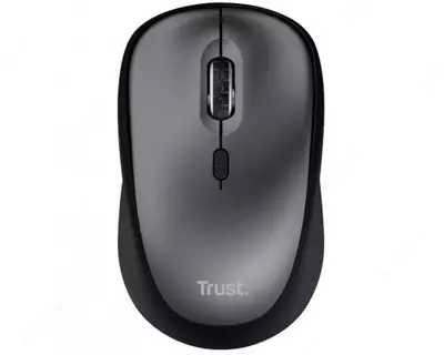  Sichqoncha Trust Primo WL - 