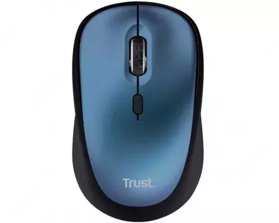  Sichqoncha Trust Primo WL - 