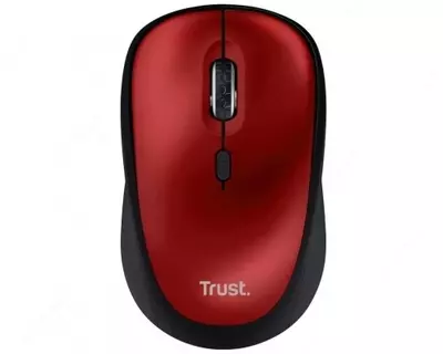 Sichqoncha Trust Primo WL