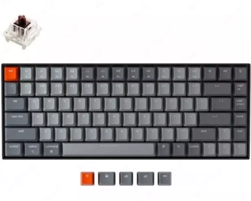 Клавиатура Keychron K2 84 Key  Gateron  Mechanical Keyboard  White LED Brown Russian Layout