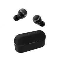 Наушники Panasonic RZ-S300WGE True Wireless Mic Black
