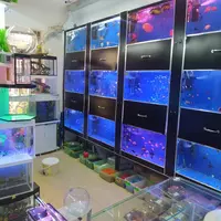 15 000 so'mdan Baliqlar Dokoni