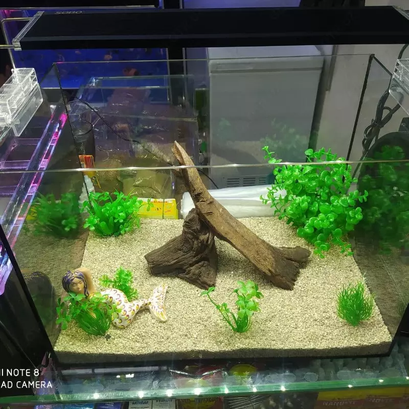 Аквариум Только в розницу