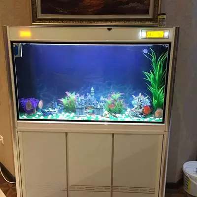 Аквариум AquaMir