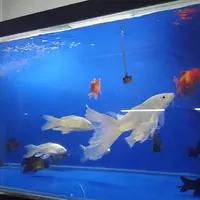 Рыбный магазин Только в розницу