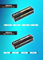 Зубная паста REACH Brilliant White
