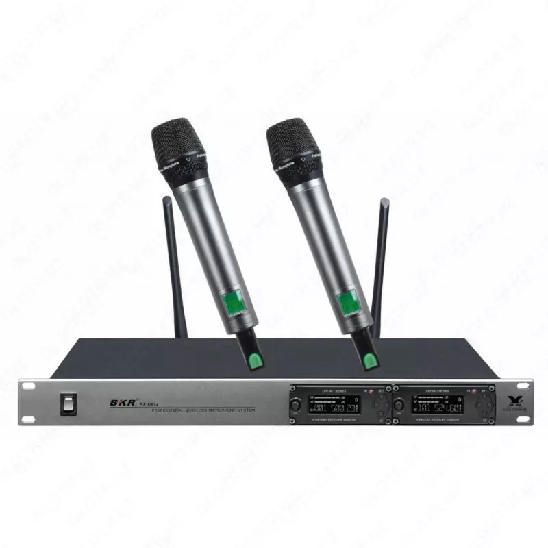 Беспроводная микр. система (два ручных вокальных) BD-32