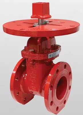 Ayvaz NRS / 300PSI / ANSI300 gardishli ko'tarilmaydigan klapan / 6