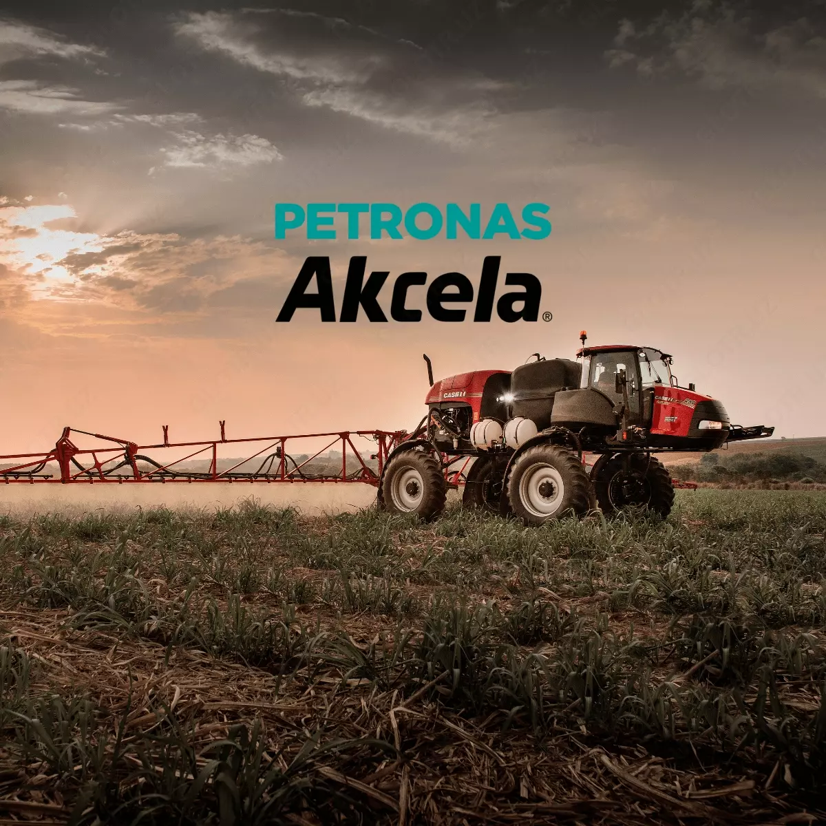 2024-01-15-12-18-19-812502-6c66e1f08f966f96b795010839af93ff.webp?_=ozbol