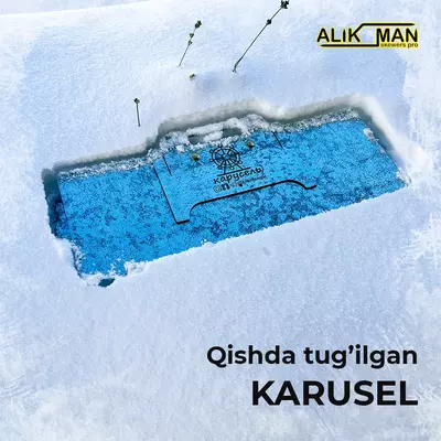 Mangal "Karusel", 540x200x80 mm