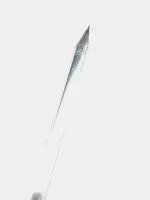   72 sm yogoch tutqichli Samuray shishlar toplami (6 dona)