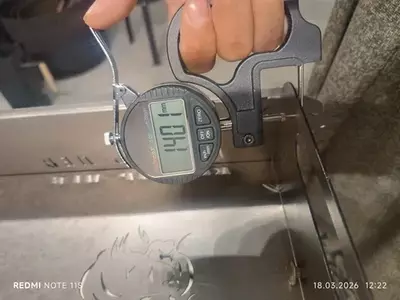  lion mangal ALIK MAN