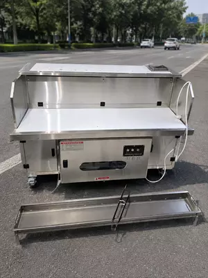 Elektrostat filtr + мангал и шипси (поглощает дым)