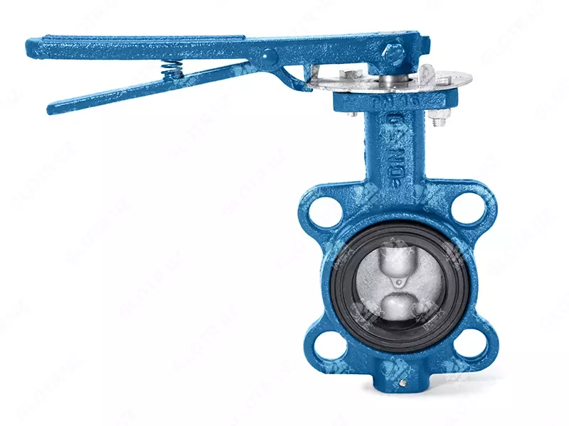 ЗАТВОР ЧУГУННЫЙ 32ч1р Ду 50