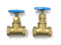 ВЕНТИЛЬ БОРОШКОВОЙ РОССИЯ Ø20