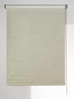 по запросу Рулонная штора "Блэкаут Венеция"