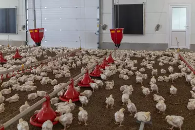 Цена по запросу Оборудование для птицеводства SAGRADA