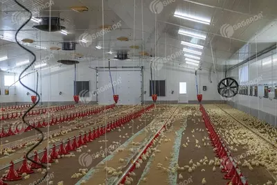 Оборудование для птицеводства SAGRADA Оптом и розница