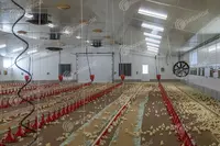 Оборудование для птицеводства SAGRADA Оптом и розница