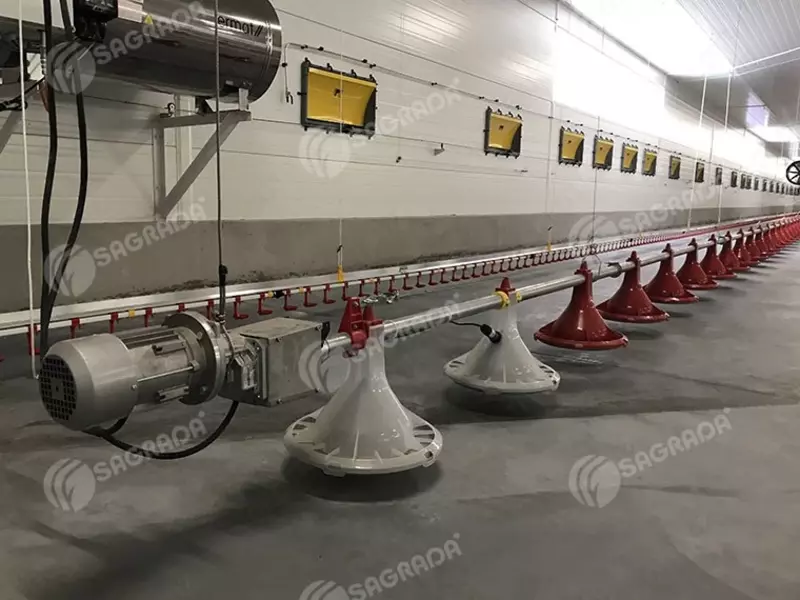 Оборудование для птицеводства SAGRADA - SAGRADA