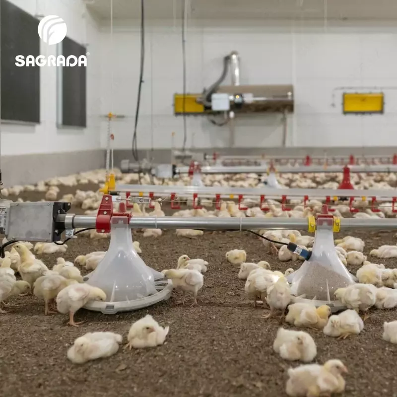 Оборудование для птицеводства SAGRADA