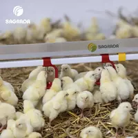 Ниппельное поение для бройлеров