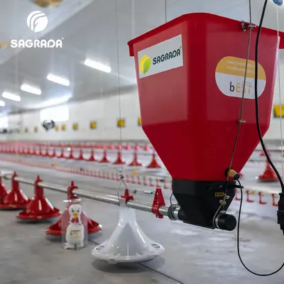 Parrandachilikni kalitlarga topshirish uskunalari bilan jihozlash. SAGRADA uskunalari