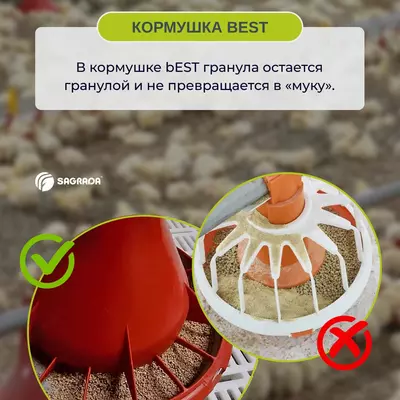 Цена по запросу Автоматические кормушки для кур-несушек